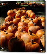 Pumpkin Lines Acrylic Print