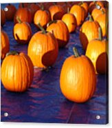 Pumpkins Blues Landscape Acrylic Print