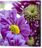 Purple Flower In Cold Light. Acrylic Print