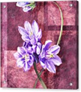 Purple Flowers Decor Acrylic Print