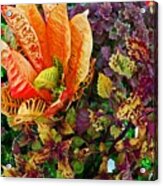 Purple Flowers Acrylic Print