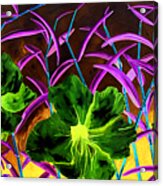 Purple Morning Flower Acrylic Print