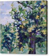 Purple Tree Acrylic Print