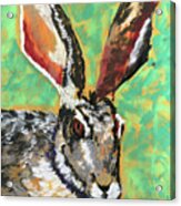 Rabbit In Pastel Acrylic Print