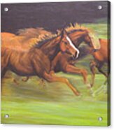 Racing Horses Acrylic Print