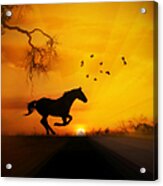 Radiant Run Horse And Sunrise Acrylic Print