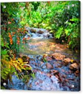 Rain Forest Stream Acrylic Print