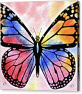 Rainbow Butterfly Acrylic Print