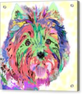Rainbow Toto . Colorful Dog Acrylic Print