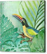 Rainforest Tropical - Jungle Toucan W Philodendron Elephant Ear And Palm Leaves 2 Acrylic Print