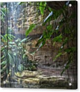 Rainforest Waterfall Acrylic Print