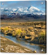 Rangipo Desert Acrylic Print