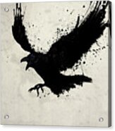 Raven Acrylic Print