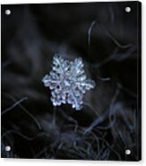 Real Snowflake - 2017-12-07 1 Acrylic Print