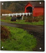 Red Bridge On A Dreary Day Acrylic Print