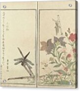 Red Dragonfly And Locust By Pinks, Kitagawa Utamaro, 1788 Bv Acrylic Print