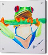 Red Eyed Frog Acrylic Print