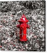 Red Fire Hydrant Acrylic Print