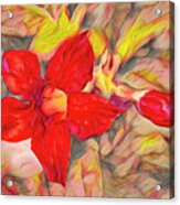 Red Floral Acrylic Print