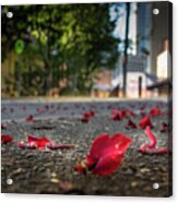 Red Flower Petals Acrylic Print