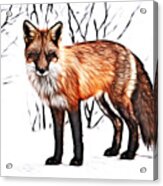 Red Fox Digital Painting Acrylic Print