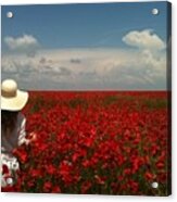 Red Poppies And Lady Acrylic Print