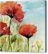 Red Poppies Watercolor Acrylic Print