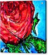 Red Red Rose Acrylic Print