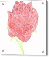 Red Rose #3 Acrylic Print
