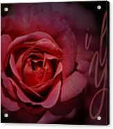 Red Rose - I Love You Acrylic Print
