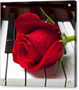 Red Rose On Piano Keys Acrylic Print