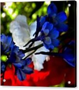 Red White And Blue Acrylic Print