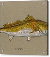 Redfish Painting Acrylic Print