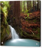 Redwood Forest Waterfall Acrylic Print