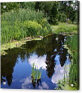 Reflections Acrylic Print