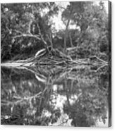 Reflections In Black And White Acrylic Print