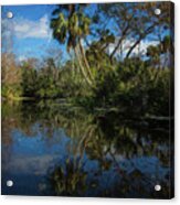 Reflections In The Tropics Oil Painting Acrylic Print