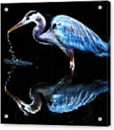 Reflections Of A Great Blue Heron #1 Acrylic Print