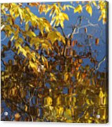 Reflections Of Autumn Acrylic Print