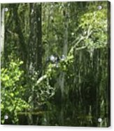 Reflections Upon The Swamp Acrylic Print