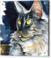 Regina - Maine Coon Painting Acrylic Print