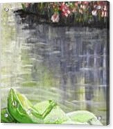 Relaxing Frog In A Sunny Pond Acrylic Print