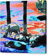 Rhinos Having A Picnic Acrylic Print