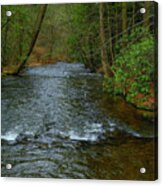 River In Caledonia State Park Along The At Acrylic Print