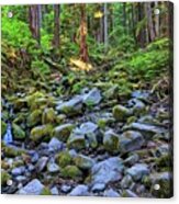 Riverbed Full Of Mossy Stones With Small Cascade Acrylic Print