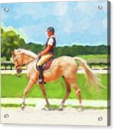 Rocking Horse Stables Ocala Florida Acrylic Print