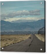 Rocky Mountain Deer Acrylic Print