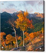 Rocky Mountain National Park Autumn Acrylic Print