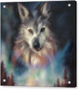 Rocky Mountain Wolf Series Acrylic Print