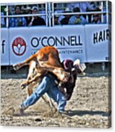 Rodeo 3 Acrylic Print